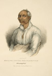 Shounk-chunk Der Schwarzwolf von James Otto Lewis